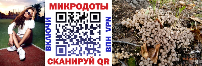 Псилоцибиновые грибы ЛСД  Аркадак 