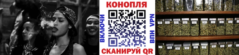 ссылка на мегу зеркало  Аркадак  Канабис сатива 